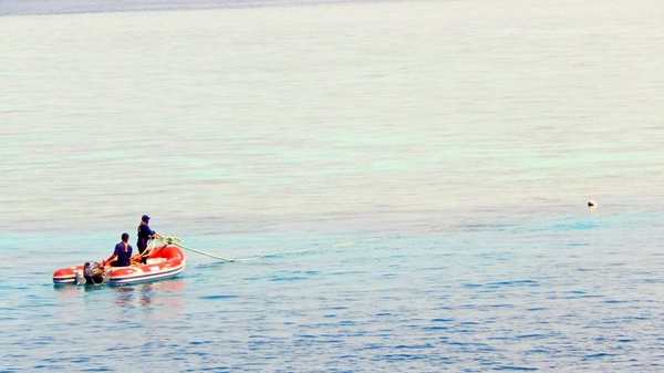 Coral Expeditions - Small Ship Cruising by null
