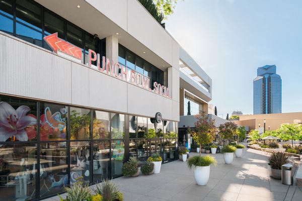 Punch Bowl Social by null