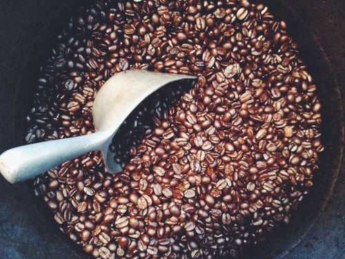 Coffee Roasters of the Kennebunks by null