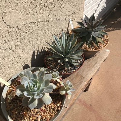 Rowe Clayworks by null