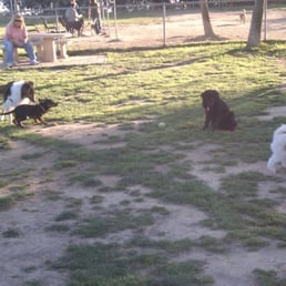 Small dog section Small dog section
