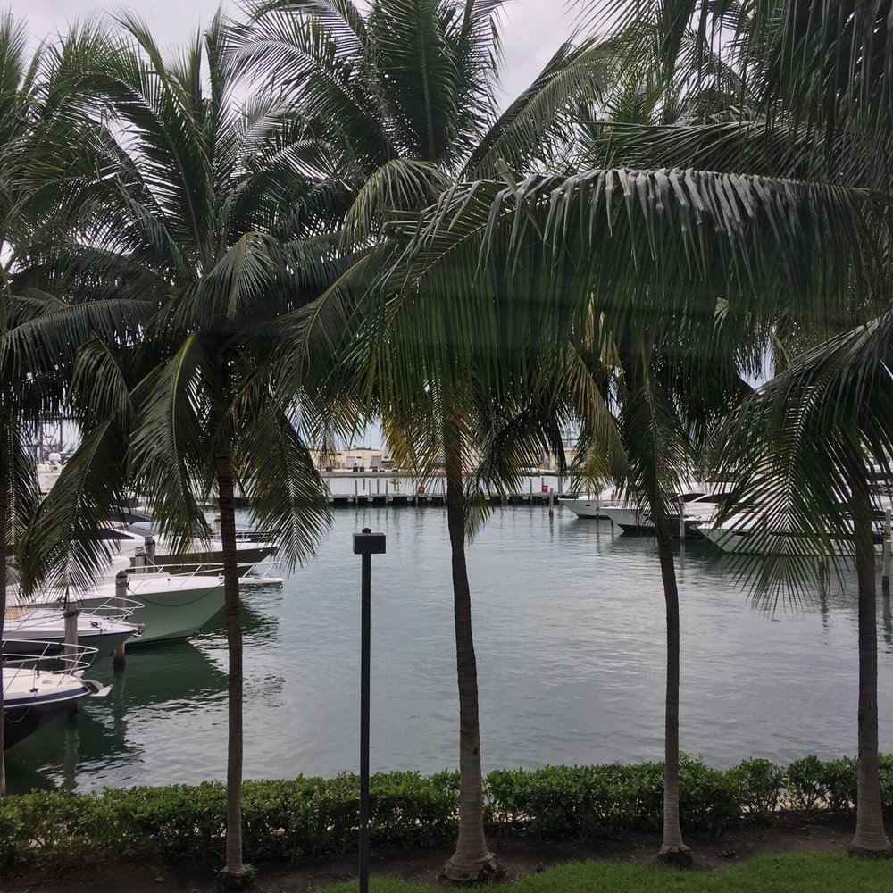 Waxing By Roxy - What a view! - Hair Removal Near Me - Miami Beach, Florida