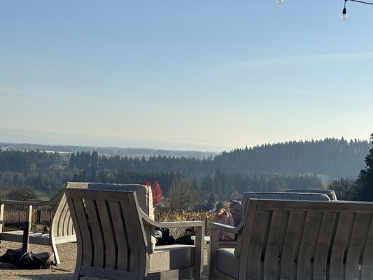 Terra Vina Wines Vineyard by null