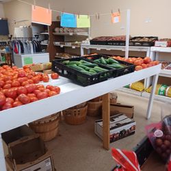 Harvest Fresh Produce