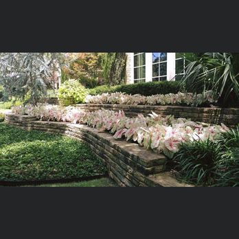 Dryman Landscape Management - Landscape - Lawn Services Near Me