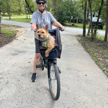 Love Me Always Dog Training - Pet Training Near Me