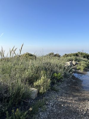 North Etiwanda Preserve by null