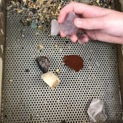 Pisgah Forest Gem Mine and Gifts - Portion of gemstone haul
