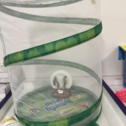 The Learning Experience - Rohnert Park - The catapillars have built their chrysalis and the kids check on them every day!