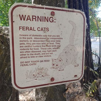 Caswell Memorial State Park - Feral cat warning - Parks Near Me - Ripon, California
