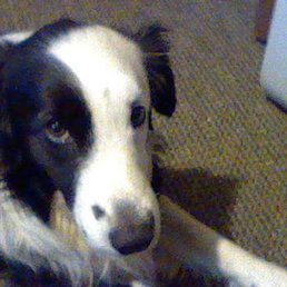 Zoe she been missing since 2009 please help me find her Zoe she been missing since 2009 please help me find her