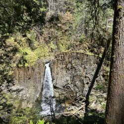 Drift Creek Fall And Bridge
