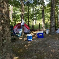 Kings Dominion Camp Wilderness - Tent site F.