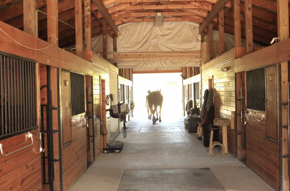 WILDEN’S RUN FARM 135 Tubbs Rd, Pownal, Vermont Horseback Riding