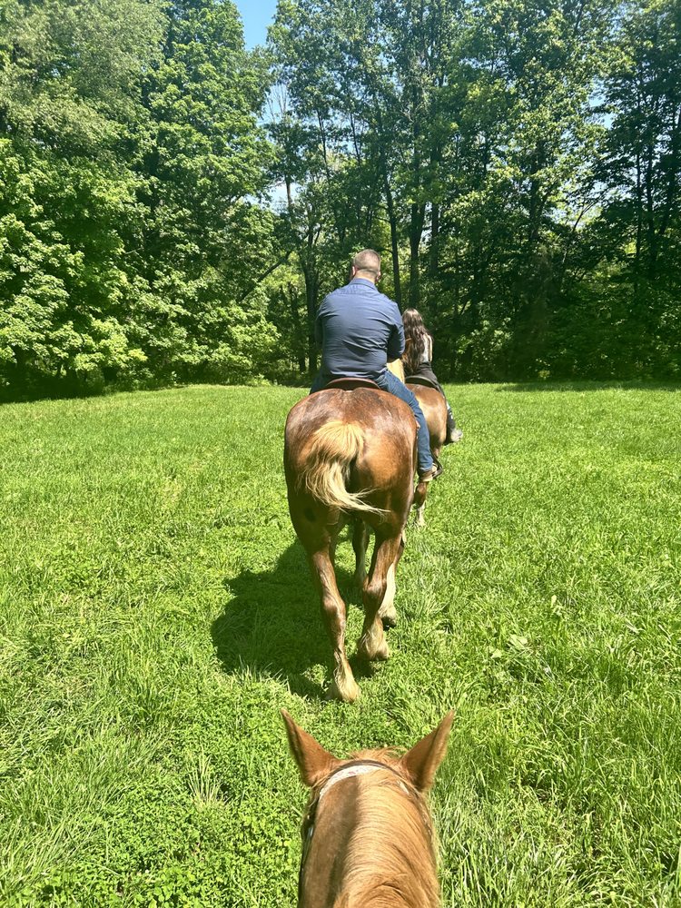 Crown Haven Center - equestrian in Russiaville, IN