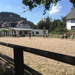 Ponyhof Meier