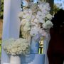 Photo of The Empty Vase Florist
