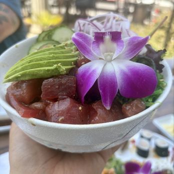 Sushi Nekosan - Sushi Bars Near Me - San Diego, California Sushi Nekosan - Sushi Bars Near Me - San Diego, California