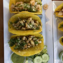 Viva Tulum - Shrimp and chicken tacos
