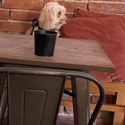 Elm Rose Cafe and Diner - Customer