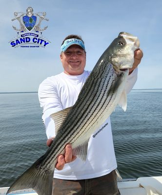 Sand City Charter
