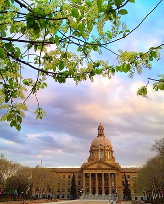 Alberta Legislature Building by null