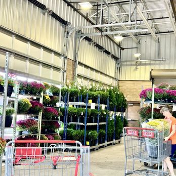 Costco - Cherry Hill - Plant section at the entrance - Wholesale Stores Near Me - Cherry Hill, New Jersey