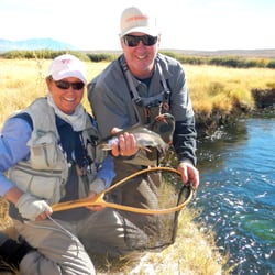 Trout Scout - A nice wild rainbow on the Owen's River!