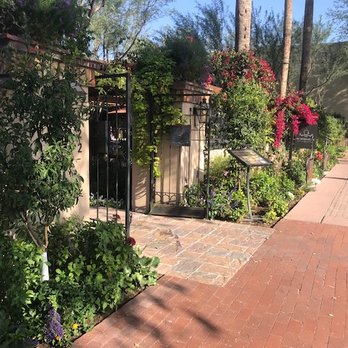 Schmooze - Patio entrance - Coffee & Tea Near Me - Scottsdale, Arizona Schmooze - Patio entrance - Coffee & Tea Near Me - Scottsdale, Arizona