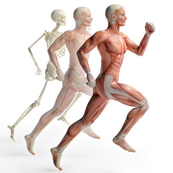 Shirvinda A Wijesekera, MD - The Orthopaedic Group, a division of Connecticut Orthopaedic Specialists www.togct.com (203)865-6784 - Orthopedists Near Me - Hamden, Connecticut Shirvinda A Wijesekera, MD - The Orthopaedic Group, a division of Connecticut Orthopaedic Specialists www.togct.com (203)865-6784 - Orthopedists Near Me - Hamden, Connecticut
