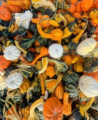 Terhune Orchards by null