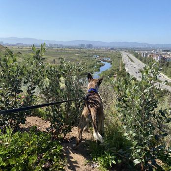 Rosewood K-9 - Planning out more hikes with our more obedient pup - Pet Training Near Me Rosewood K-9 - Planning out more hikes with our more obedient pup - Pet Training Near Me