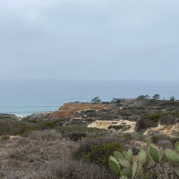 Torrey Pines State Reserve - There are many plants along the beautiful trails. The trails are roped off so plants are protected from foot traffic. - Parks Near Me - La Jolla, California Torrey Pines State Reserve - There are many plants along the beautiful trails. The trails are roped off so plants are protected from foot traffic. - Parks Near Me - La Jolla, California