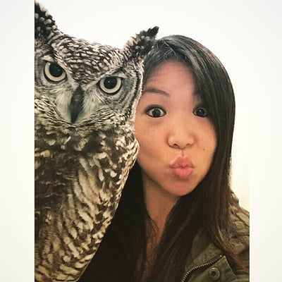 Owl Cafe Tokyo by null