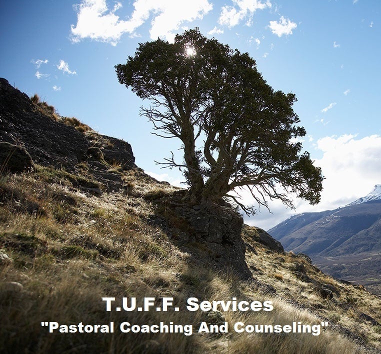 TUFF Services - grief counselor in Henderson, NV