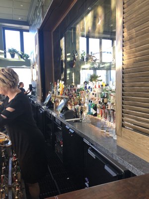 Water Bear Bar by null