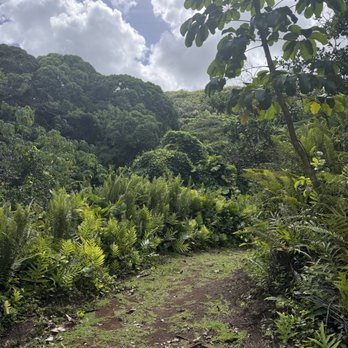 Outfitters Kauai - Hike in and out of lush jungle - Tours Near Me - Lihue, Hawaii Outfitters Kauai - Hike in and out of lush jungle - Tours Near Me - Lihue, Hawaii