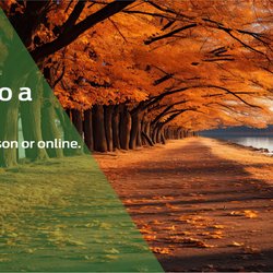 Alpha Center For Divorce Mediation
