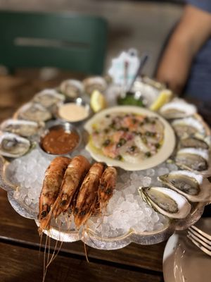 Found Oyster by null