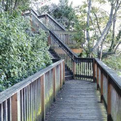 Francisco Street Steps