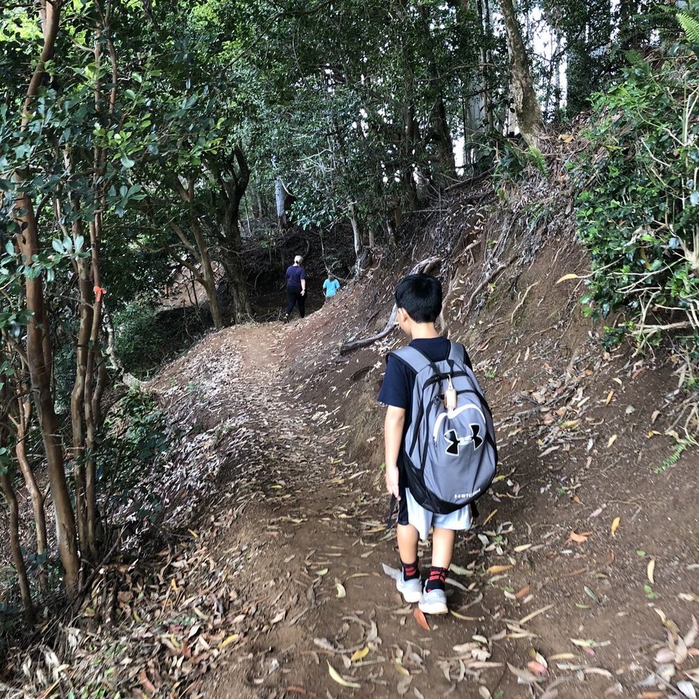 Aiea Loop Trail - Hiking Near Me - Aiea, Hawaii
