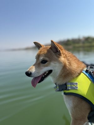 Lake Las Vegas Water Sports by null