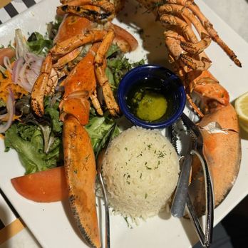 Ocean Bistro - My first time having lobster, absolutely love it. - Italian Near Me - Miami Beach, Florida Ocean Bistro - My first time having lobster, absolutely love it. - Italian Near Me - Miami Beach, Florida