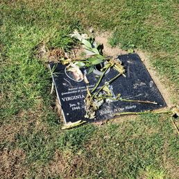 No respect for the dead. No respect for the dead.