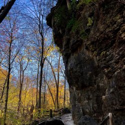 Clifton Gorge