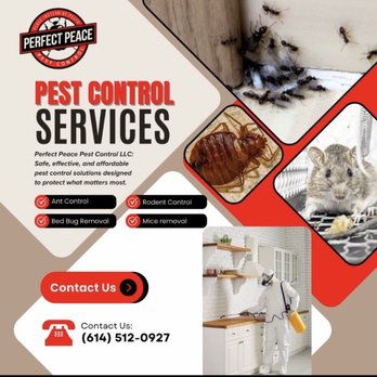 Perfect Peace Pest Control - Examples of different services, and contact info - Pest Control Near Me Perfect Peace Pest Control - Examples of different services, and contact info - Pest Control Near Me