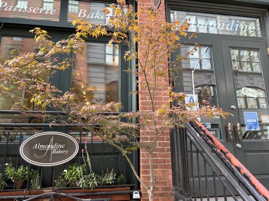 Almondine Bakery by null