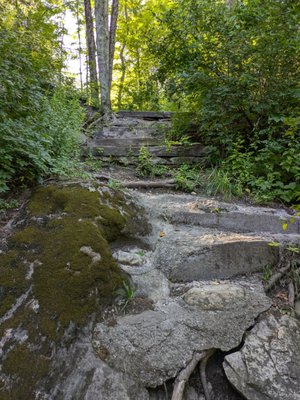 Historic Bulls Covered Bridge by null