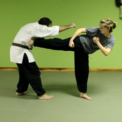 Kodokai - Our classes or private lessons are  great way to keep active!