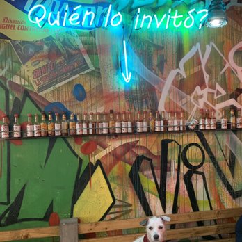 The Taco Stand - Mexican Near Me - Miami, Florida The Taco Stand - Mexican Near Me - Miami, Florida